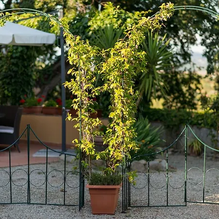 Il Leccio - Casa Toscana San Gimignano Holiday home Gambassi Terme