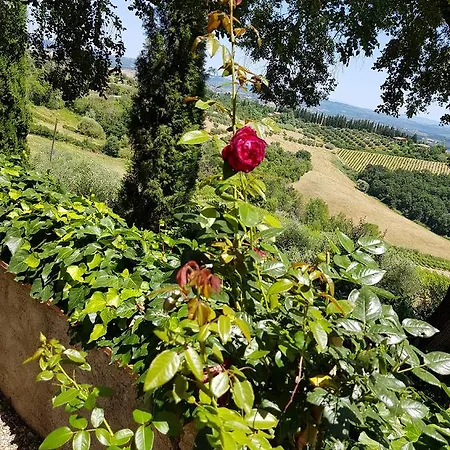 Il Leccio - Casa Toscana San Gimignano Holiday home *